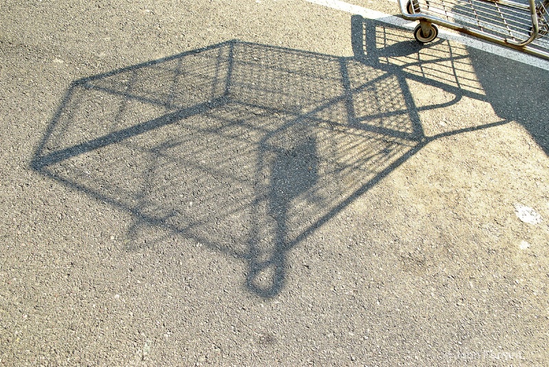 shopping-cart