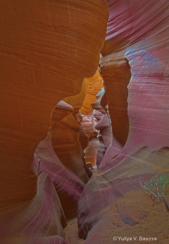 Lower Antelope Canyon, Arizona. - ID: 11867855 © Yulia Basova