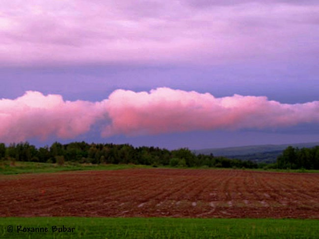 After The Storms