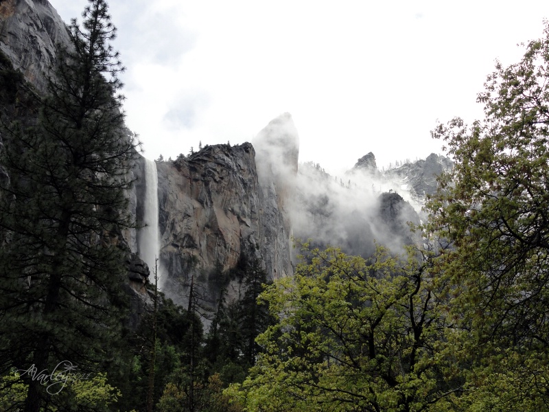 cloudy veil