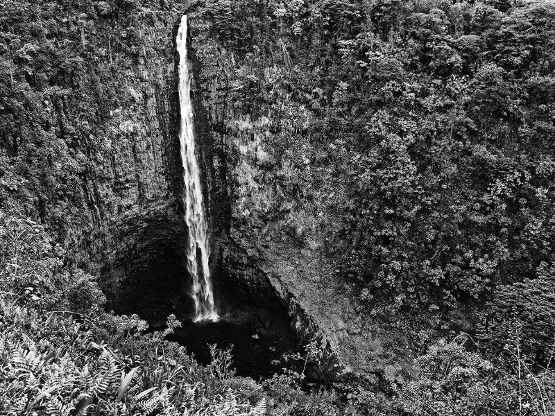Akaka Falls - ID: 11874590 © Jeff Robinson