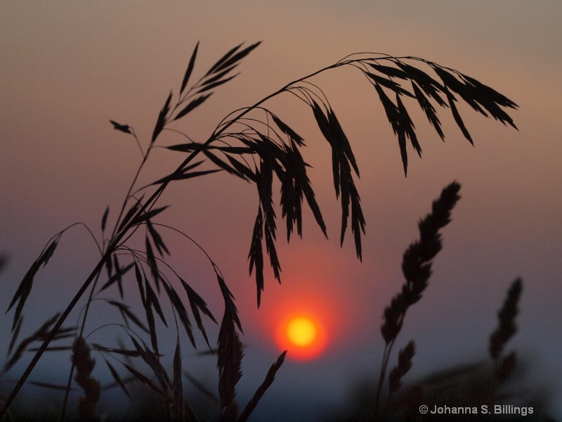 New York Sunset - ID: 11878992 © Johanna S. Billings