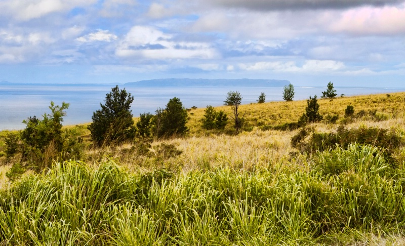 Niihau View