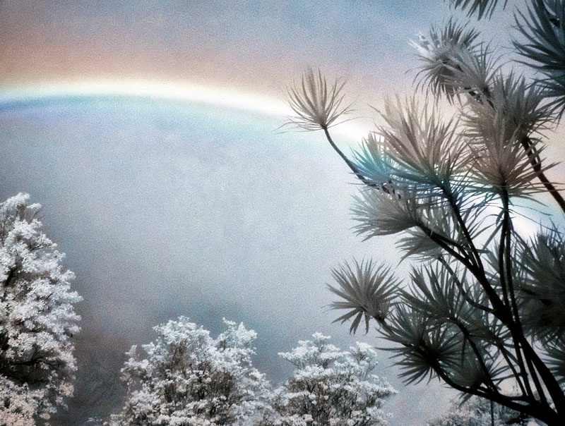 Infrared Rainbow