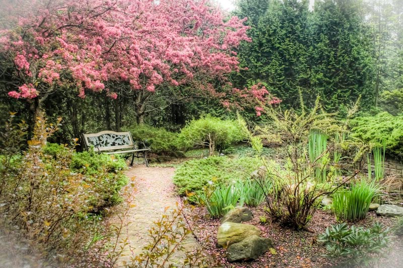 Garden in the Woods