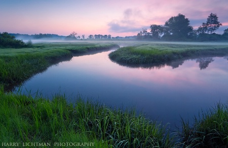 Spring on the Marsh