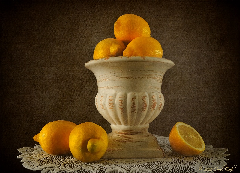 Lemon Still Life - ID: 11891591 © Carol Eade