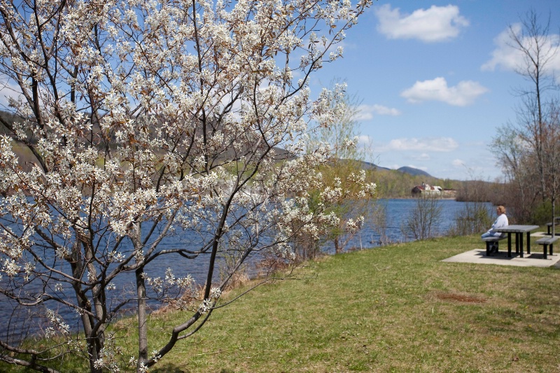 spring by the lake