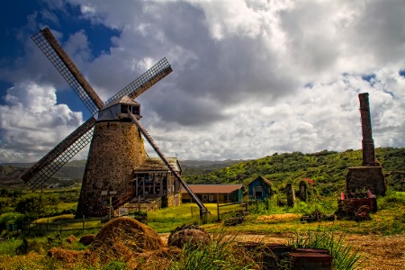 The Old Mill of Barbados