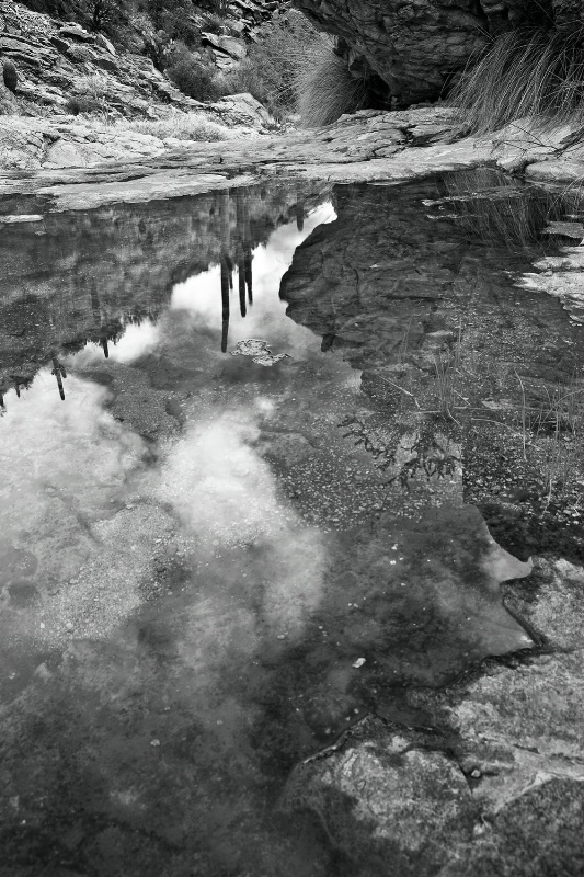 CLOUD POOL - ID: 11896650 © Patricia A. Casey