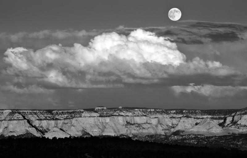 HARVEST MOON ZION