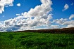 Grass, earth & sk...