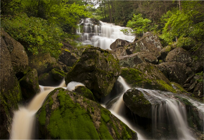 Elakala Falls in the Canyon