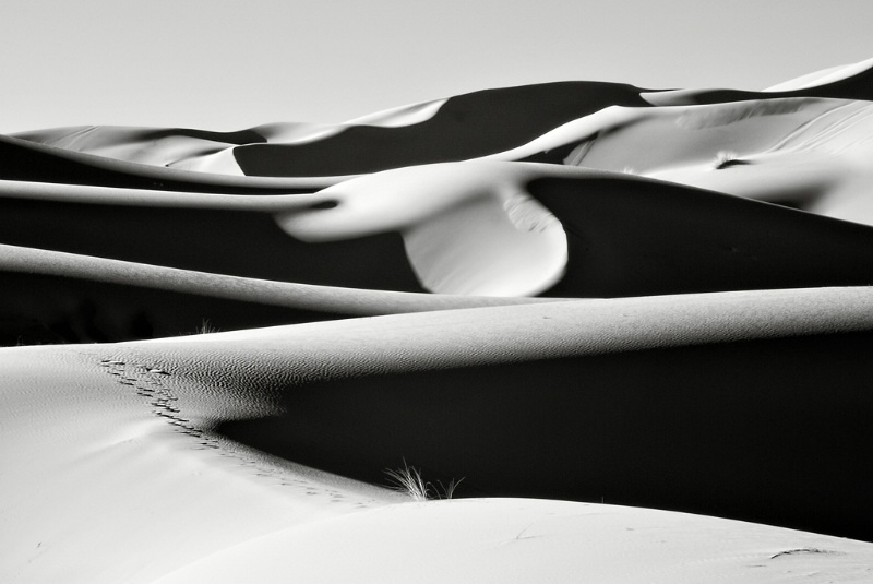 Sahara Sand Dunes 2