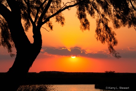 Sunset Silhouette