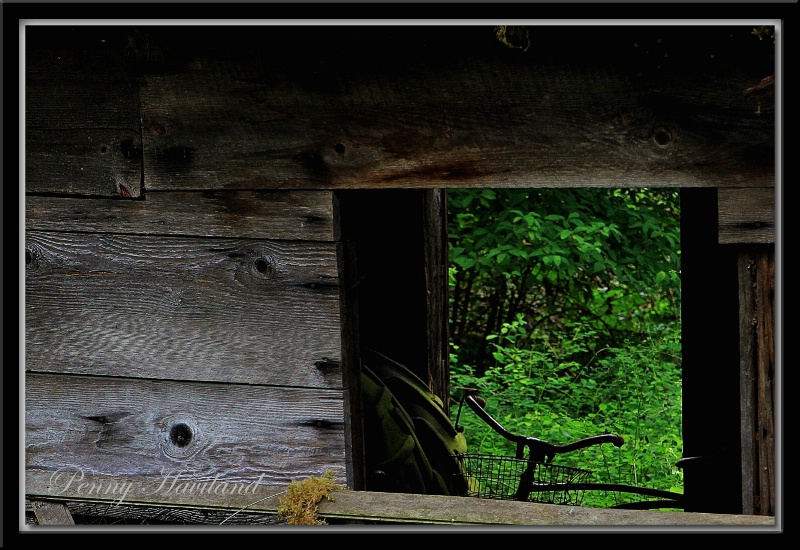 Bicycle Is In The Shed