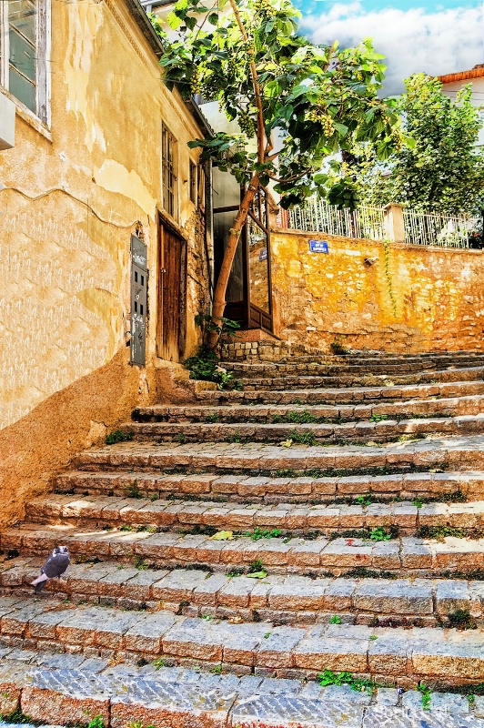 Ohrid Stairway@After - ID: 11903680 © Shelia Earl