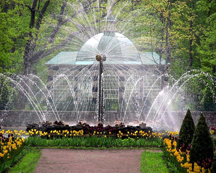 Fountains Of Peterhof