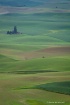 Palouse Hills