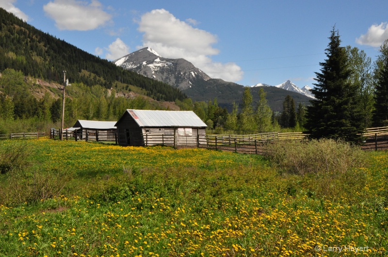 Glacier National Park- Montana - ID: 11914624 © Larry Heyert