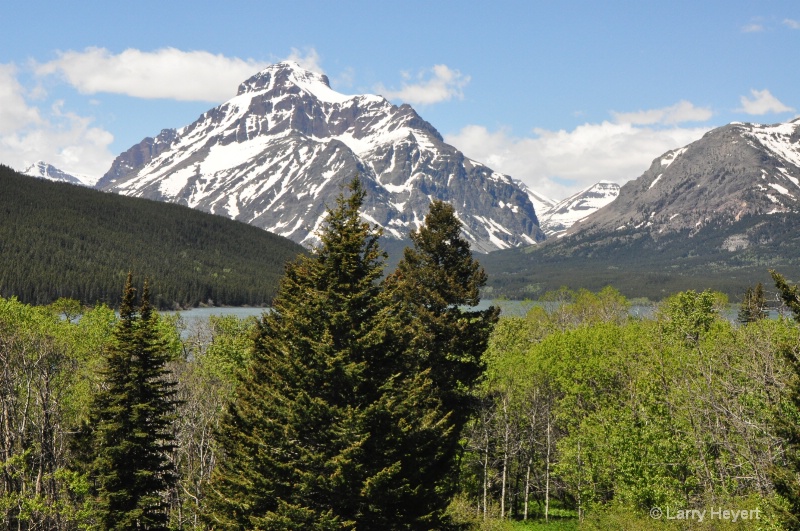 Glacier National Park- Montana - ID: 11914627 © Larry Heyert