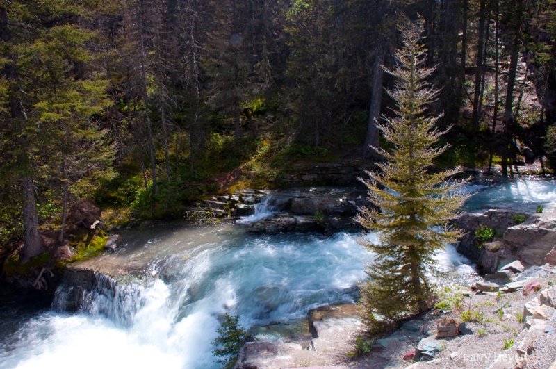 Glacier National Park- Montana - ID: 11914642 © Larry Heyert