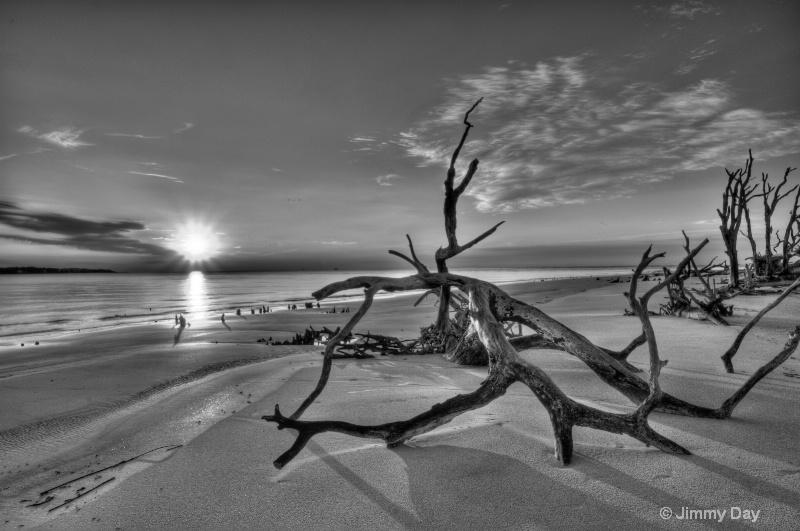 Driftwood Beach, black & white