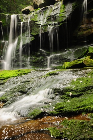 Blackwater falls WV