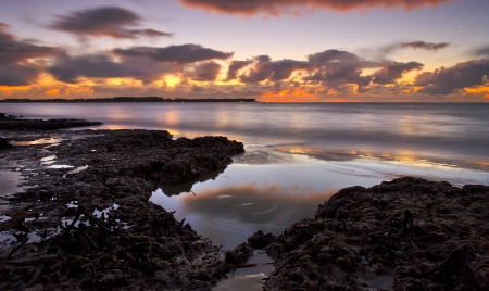 From The Mudflats To The Sea