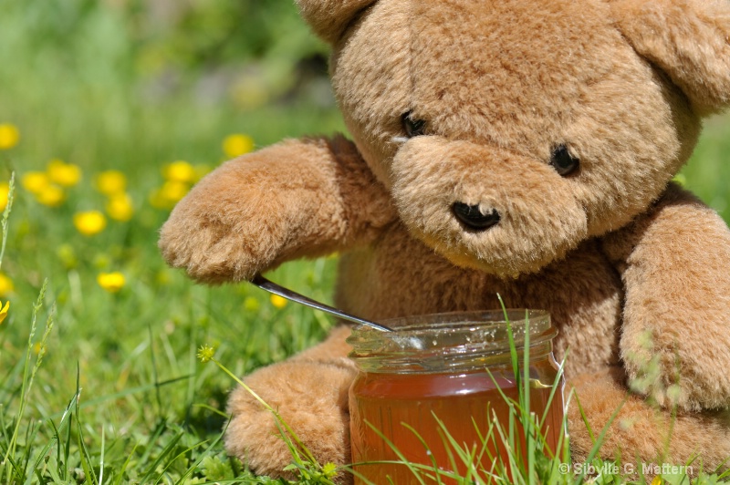  toy stories - honey bear - ID: 11923252 © Sibylle G. Mattern