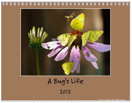 0-a bug s life 2012