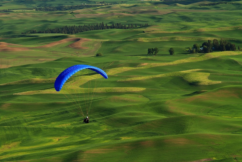 Paragliding in Palouse