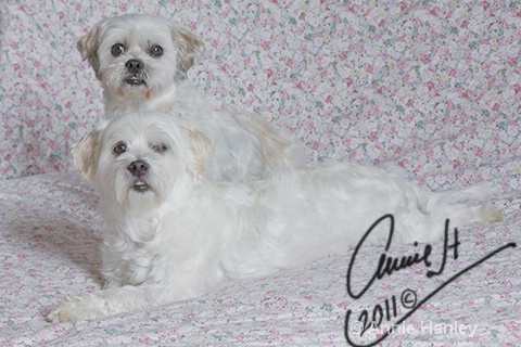 We got caugh on Mum's bed! - ID: 11939663 © Ana Hanley