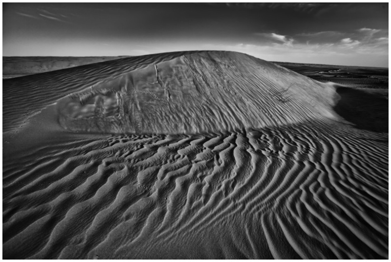 Dune lines 
