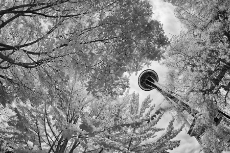 Space Needle in Infrared