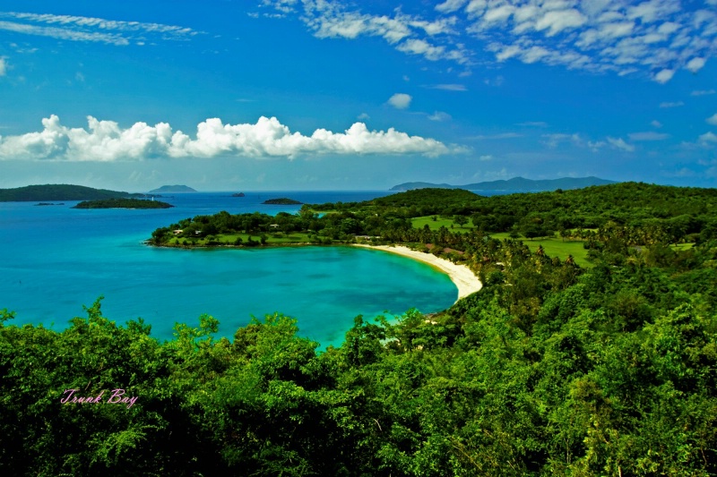 Tropical Treasure - Virgin Islands