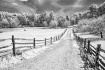 Country Road