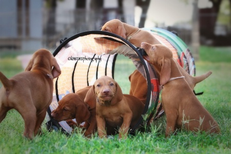 Geeeez, I am TRYING to practice my agility!