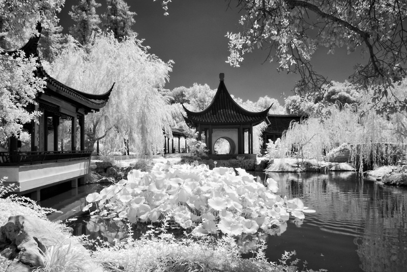 The Beauty of Chinese Garden