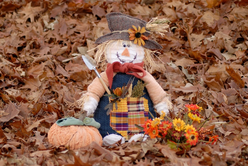 Autumn Friend - ID: 11949896 © Kathleen McCauley