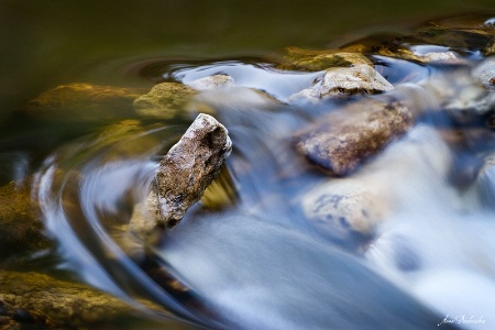 Braving the Rapids