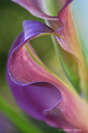 "S" is for Simplicity
