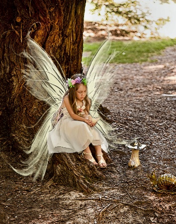 Little fairy in the forest