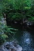 Cliff Diver