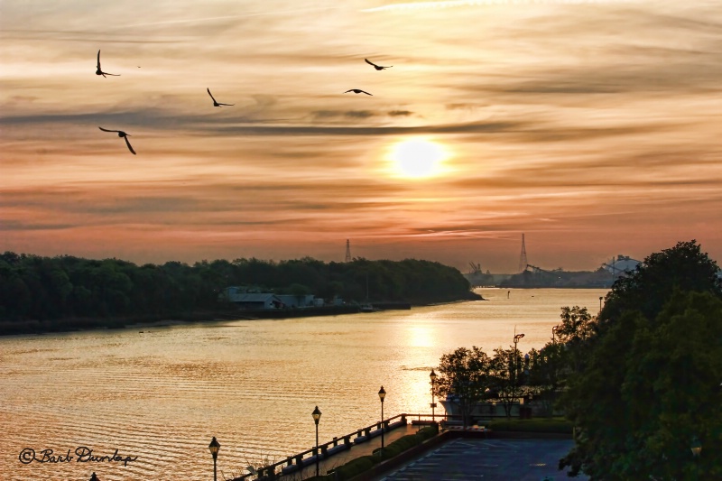 Savannah River at Sunset