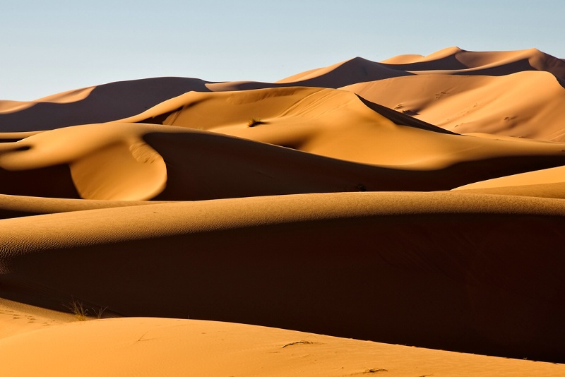 Sahara Sand Dunes 3