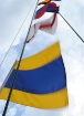 Moving Flags