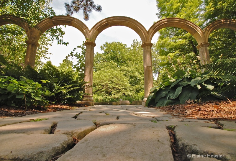 Hyperfocal Distance-Cleveland Botanical Gardens