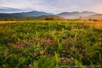 July 2011 Photo Contest 2nd Place Prize Winner