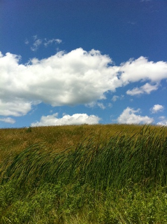 Grassy Hill